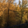 Autour de moi et ailleurs