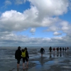 Un regard, une lumière, une photo - Promenade en Baie du Mont-Saint-Michel, côté Bretagne Un regard, une lumière, une photo