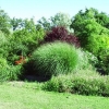 Mon album photos