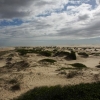 Eyes Wild Shoot. Blog photo ”Un jour, une photo”. - Pacific Dunes Eyes Wild Shoot. Blog photo ”Un jour, une photo”.