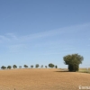 In-///->focus Photographies