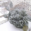 locataires14 - espace vert protégé