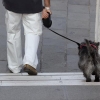 Autour de moi et ailleurs - Maître et chien en balade sur les Schiavoni Autour de moi et ailleurs