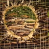 Peintresse LAND ART citoyenne de l'art
