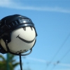 Fidus Anima - Smile ... Life is Beautiful Fidus Anima