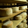 atelier photo OXYGENE - Fromagerie de Poubeau atelier photo OXYGENE