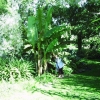 Mon album photos