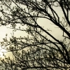 In-///->focus Photographies