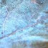 Olivier Martin Delange // Photographies //