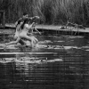 Autour de moi et ailleurs