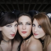 ReminiSenS - catwomen0 ReminiSenS